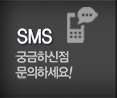 (주)디앤에스 SMS